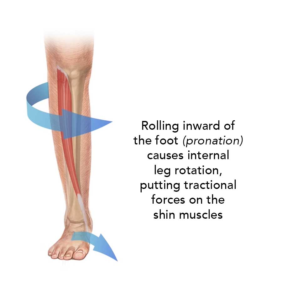 Diagram showing a leg with arrows indicating inward foot rolling (pronation) and internal leg rotation, illustrating tractional forces on the shin muscles. Text explains the process.